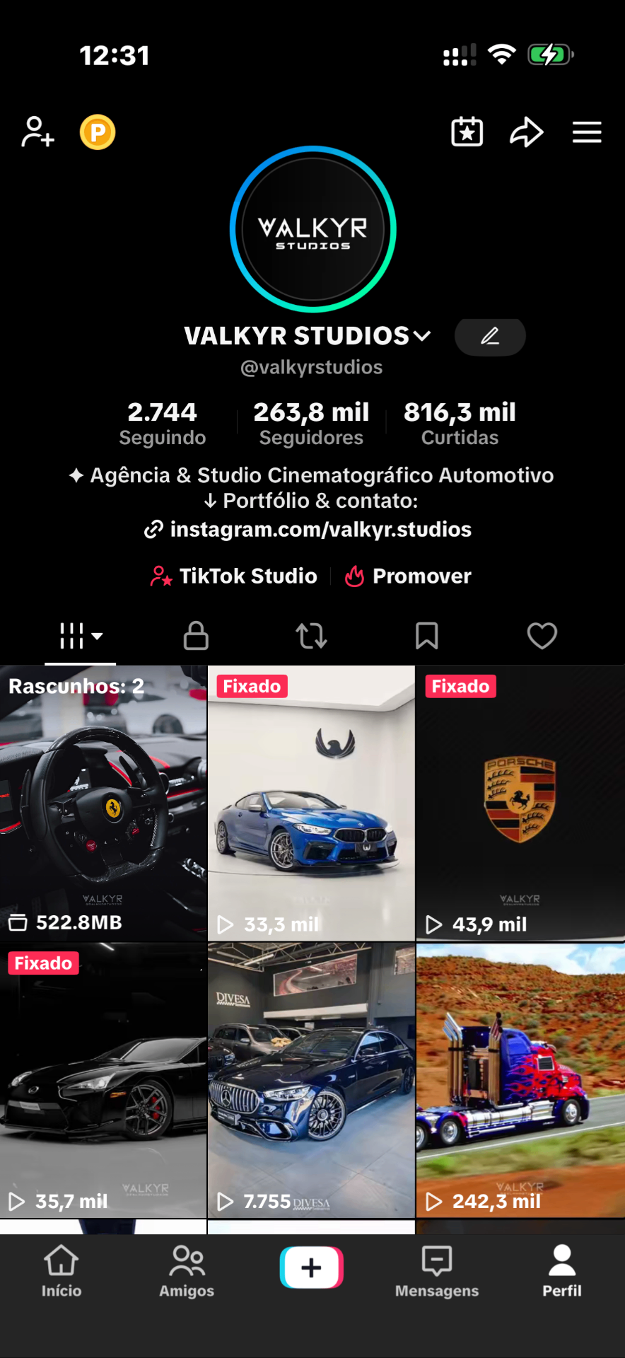 Perfil @valkyrstudios no TikTok com 263,8 mil seguidores e 816,3 mil curtidas